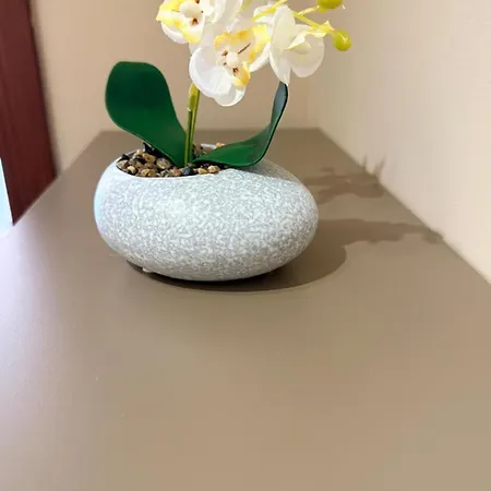 In Apartment *